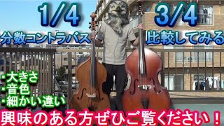 分数コントラバス】1/4 と 3/4 大きさや音を比べる // サイズは