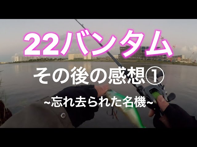 Shimano [Impressions after using the 22 Bantam for over a year ①