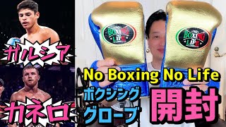 開封】No Boxing No Life のボクシンググローブをアンボックス【動画