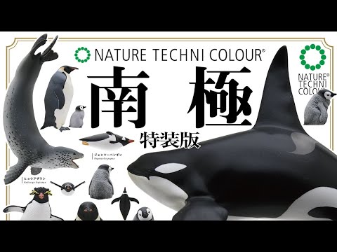 南極』特装版 ネイチャーテクニカルカラー 全6種 開封動画 NATURE