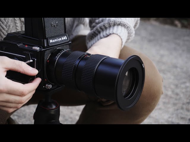 Mamiya 105-210mm f4.5 Sekor C ULD lens | First impressions for