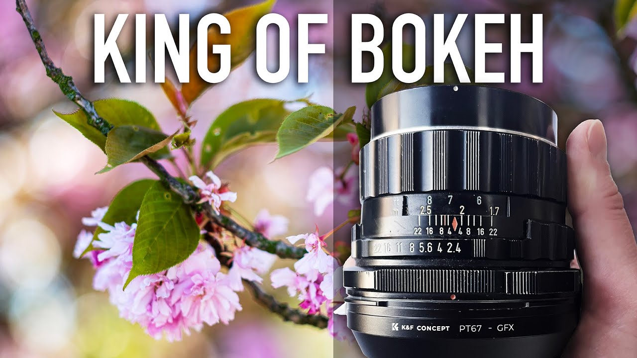 King of Bokeh? | Asahi Pentax SMC Takumar 6×7 105mm f/2.4 on