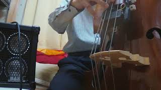 EMGウッドベース用ピックアップ♪試奏レビューvs生音 | 倹約・節約