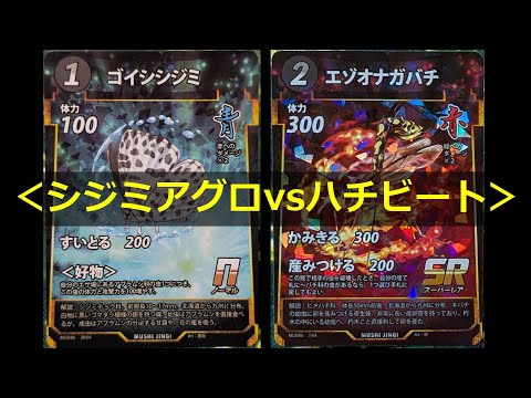 InsectSacredTreasure] ShijimiAgro vs. WaspBeet [#WakamushiChannel