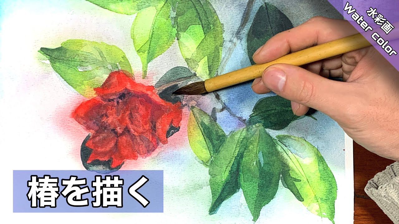 透明水彩画】椿の描き方 バックと花を自然に見せる つらら庵 - YouTube