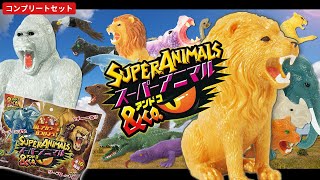 Unboxing the Super Animal & Co. Complete Set! [DeAGOSTINI] - YouTube
