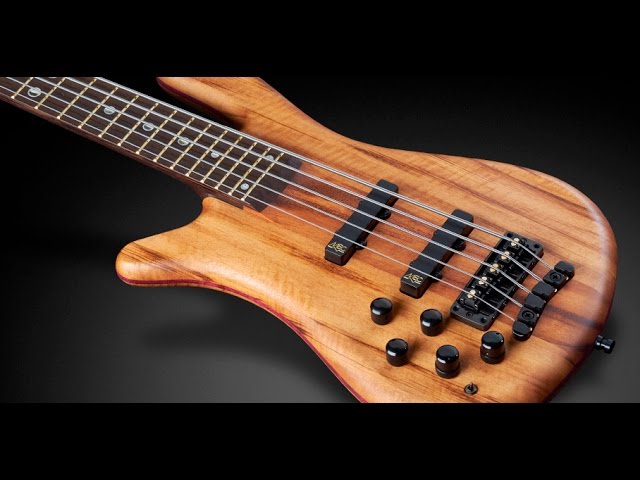 Warwick Custom Shop Masterbuilt - Streamer Stage II 5-String