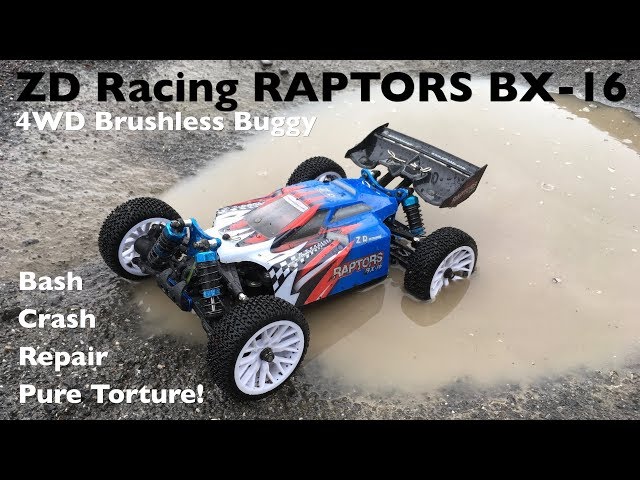 ZD Racing RAPTORS BX-16 4WD Brushless Buggy: Bash, Torture, Crash