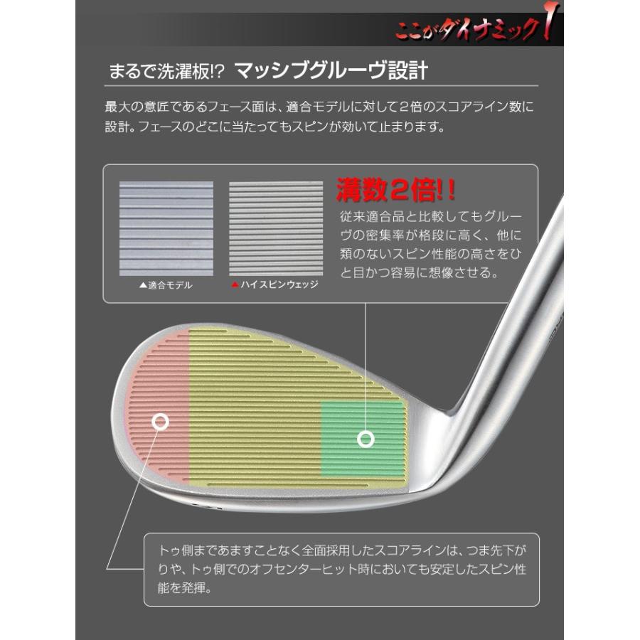 DYNAGOLF（ダイナゴルフ） ゴルフ クラブ ウェッジ メンズ 2本セット