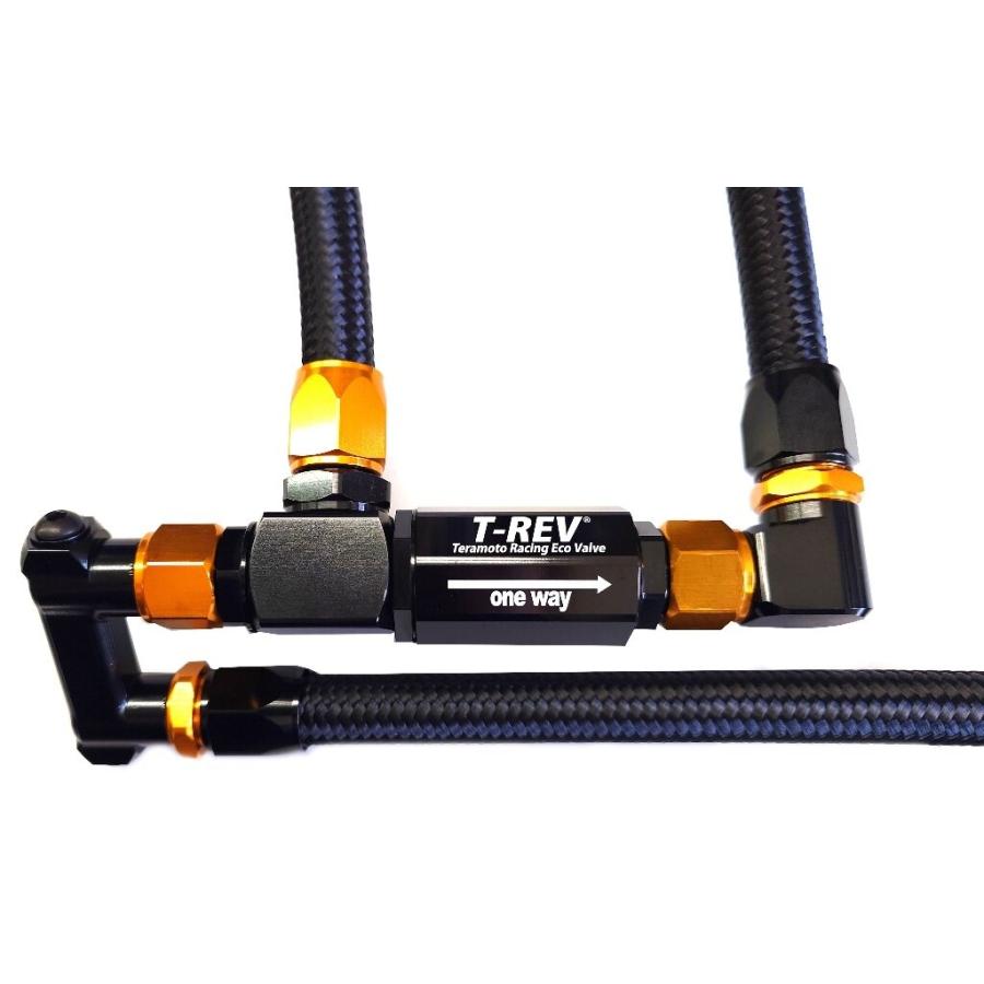 T-REV(寺本自動車商会) ティーレブ T-REVαシステムSP 仕様：SPECIAL