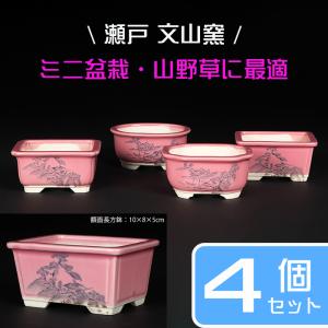 盆栽鉢 植木鉢 「瀬戸焼文山窯赤釉小鉢4点セット」 色鉢 3号 9cm