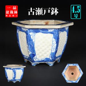 九谷晃雲色絵龍図長方鉢 盆栽鉢 鉢 植木鉢 小鉢 bonsaipot 作家鉢 くた