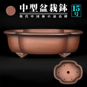 盆栽鉢 紫泥外縁胴紐楕円鉢 植木鉢 中国鉢 張氏製陶 落款あり 15号