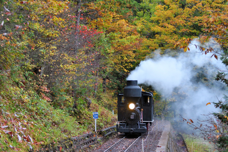 木曽 赤沢森林鉄道の蒸気機関車