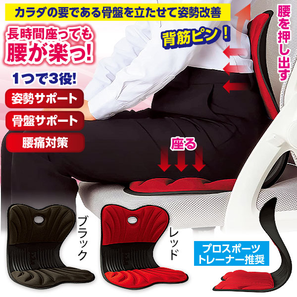 美姿勢サポートチェア スワンル【ボーテ】｜メルシーオンラインショップ