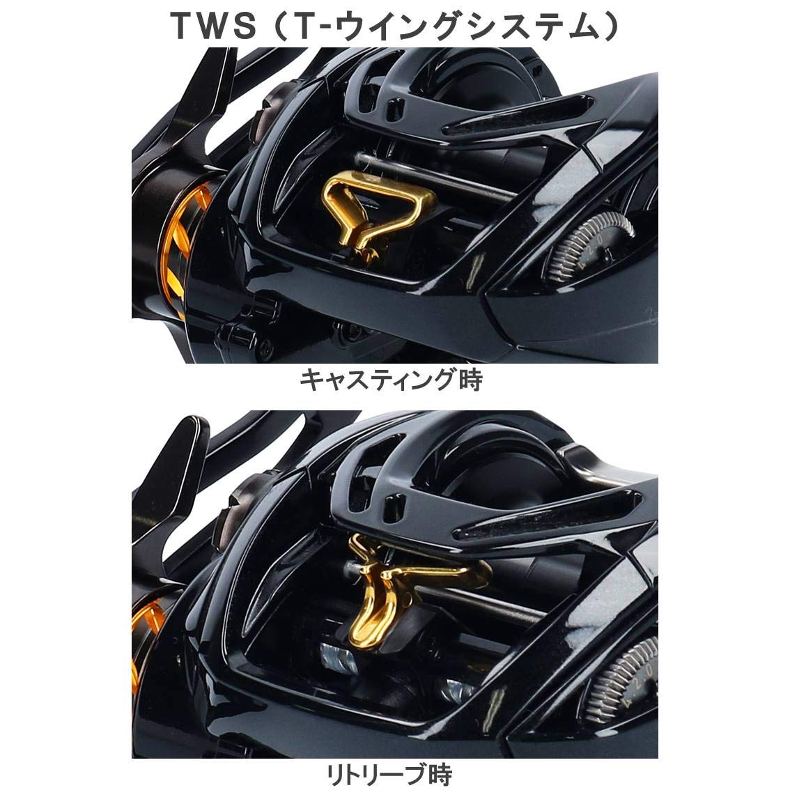 Amazon | ダイワ(DAIWA) ベイトリール 19 モアザン PE TW 1000XH-TW