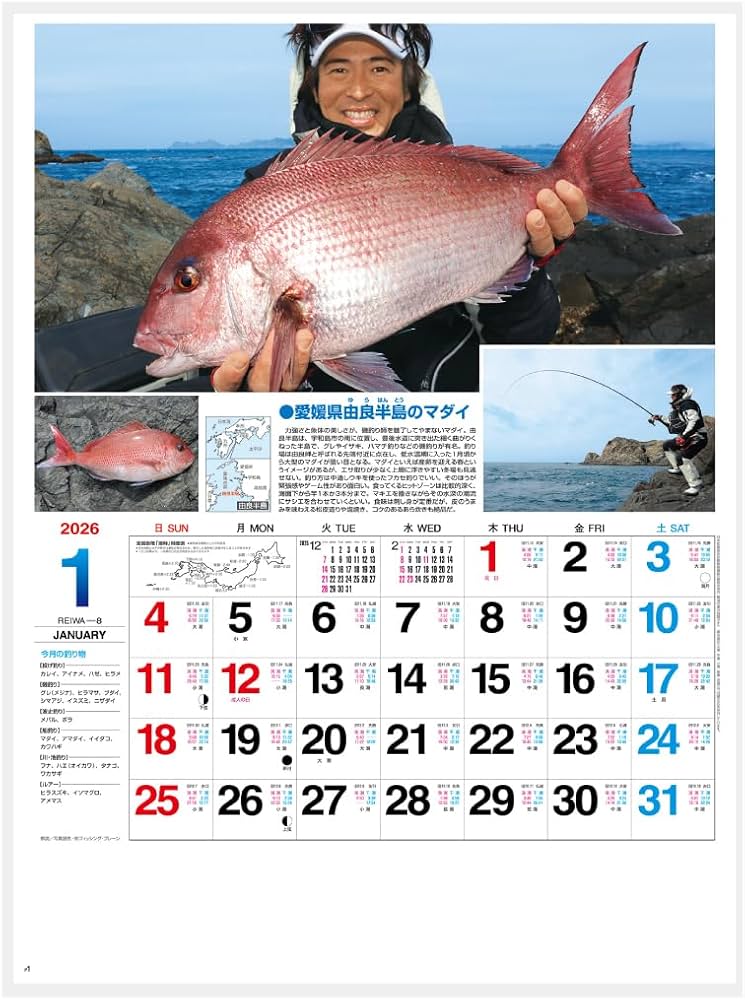 Amazon.co.jp: カレンダー 壁掛け 【2026年】 サンデーフィッシング NK