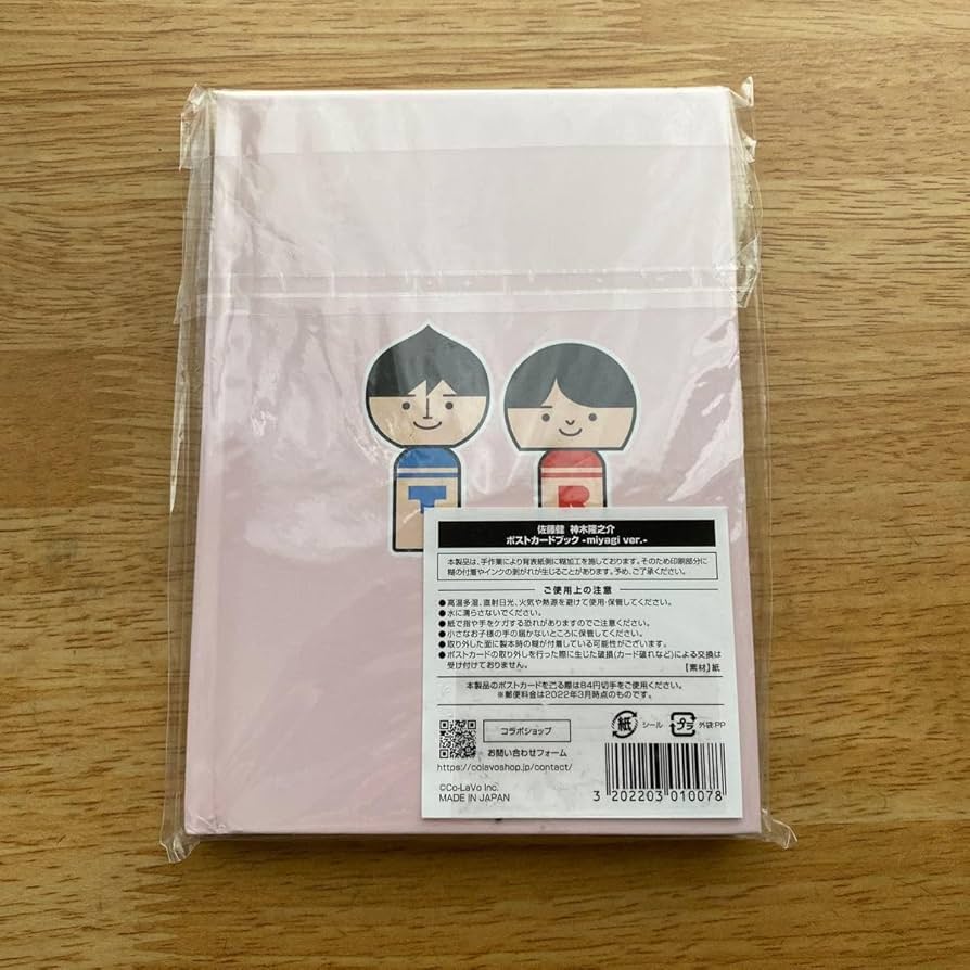 Amazon.co.jp: 佐藤健 神木隆之介 ポストカードブック miyagi : おもちゃ
