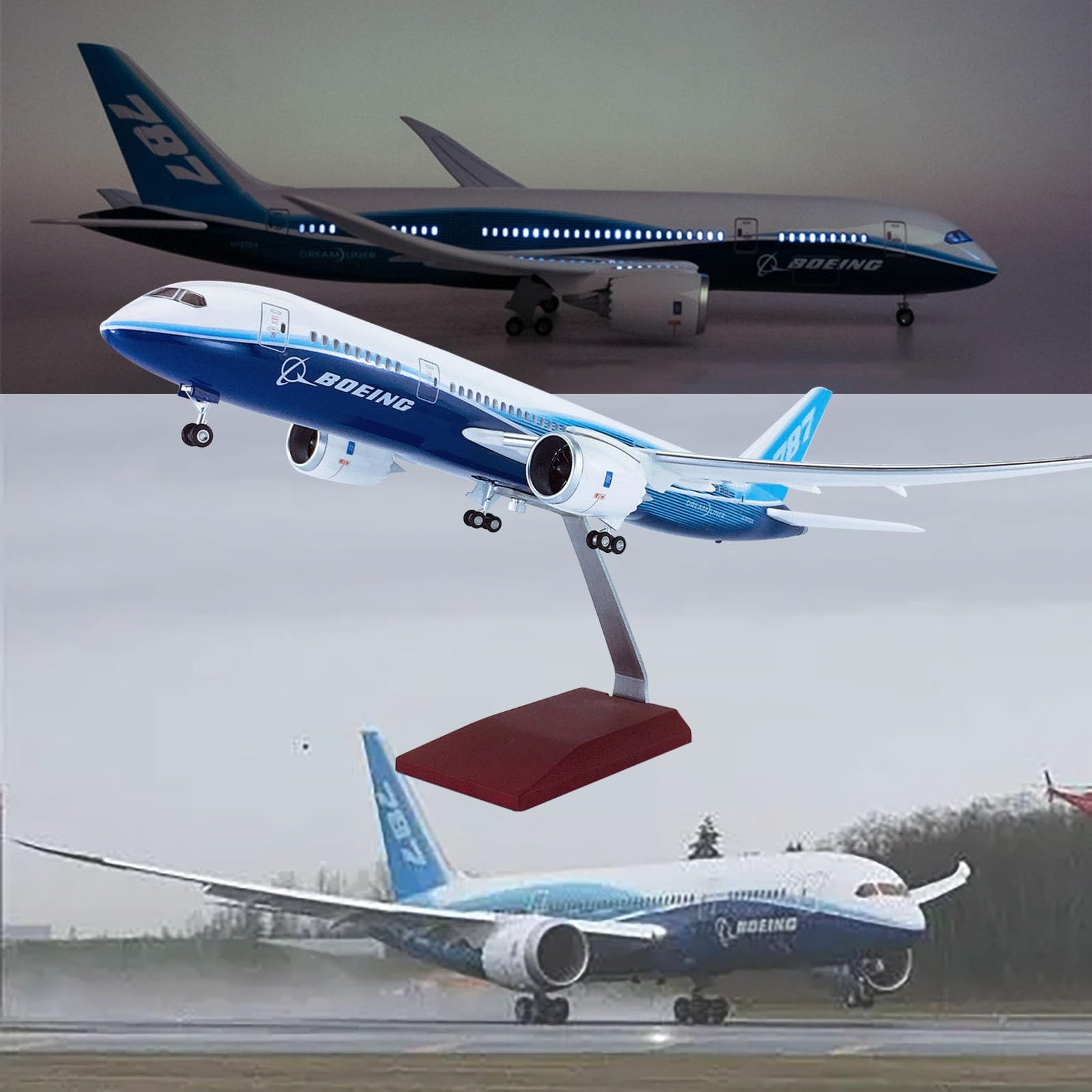 Amazon.co.jp: 16.9インチ 1:130 スケールモデル飛行機ボーイング B787