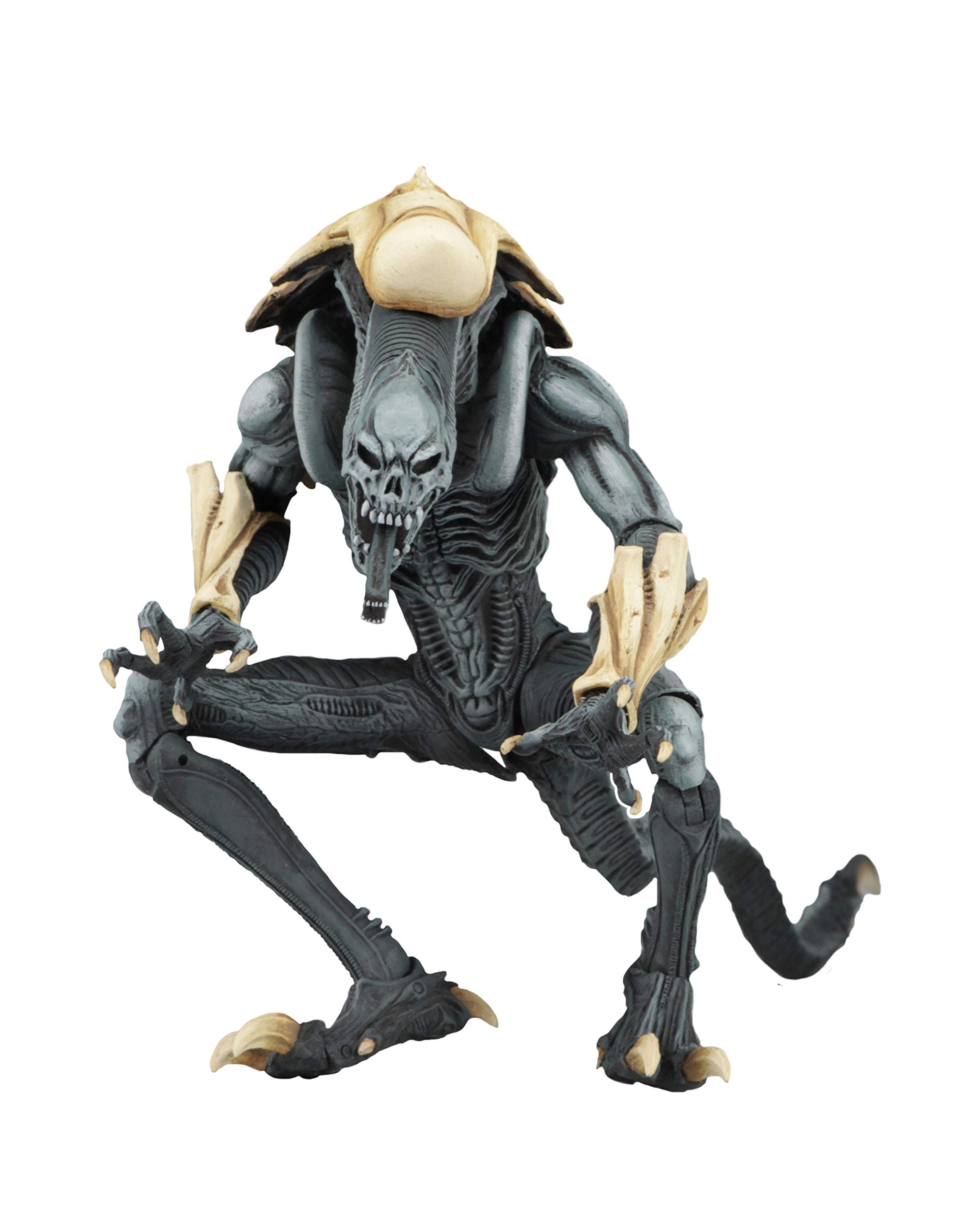 Amazon.com: NECA - Aliens vs Predator (Arcade Appearance) - 7