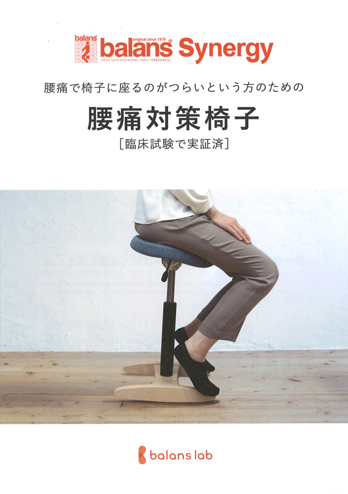 バランス シナジー正規販売店【三芳家具】