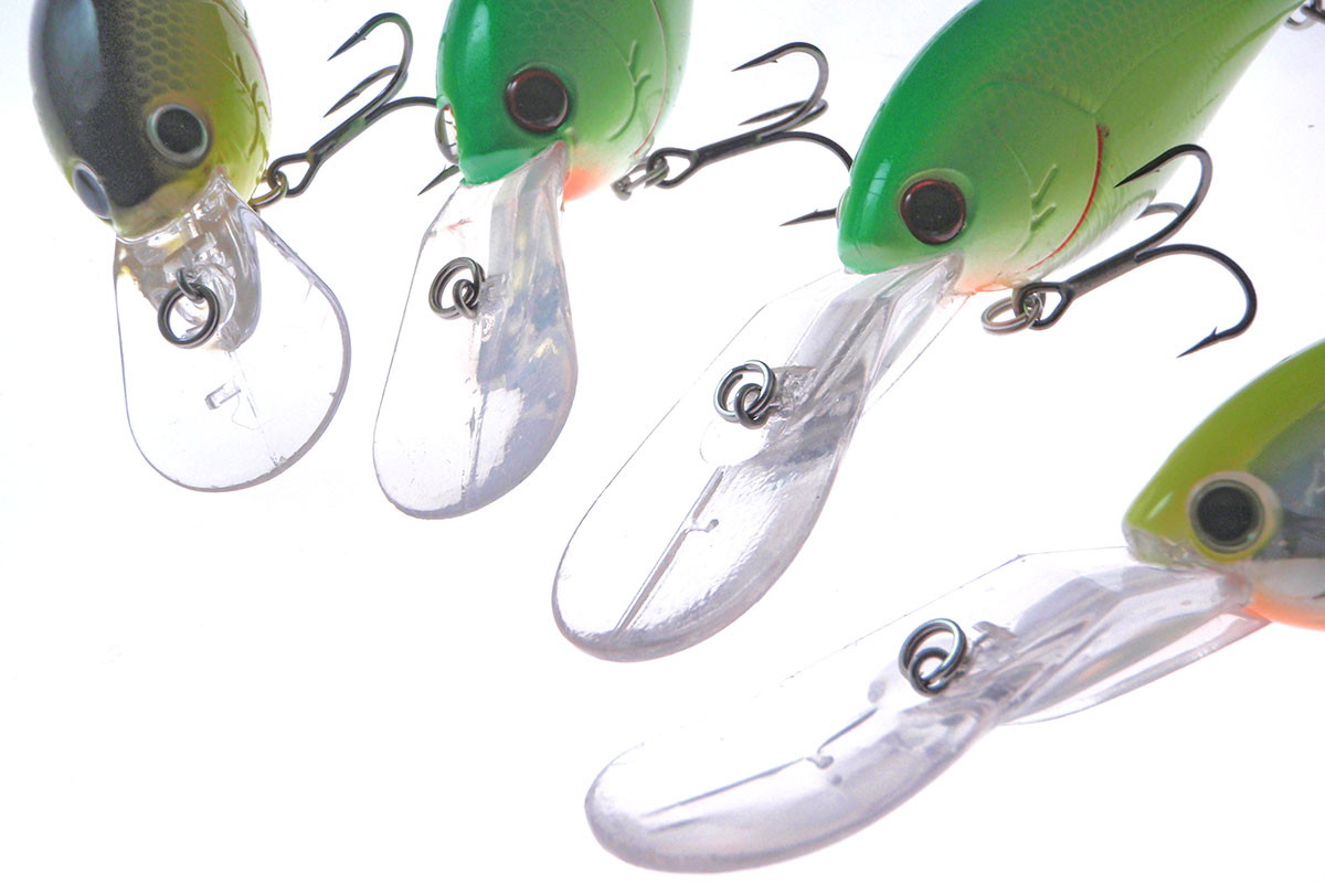 SHOT OVER 5 | BASS | NORIES