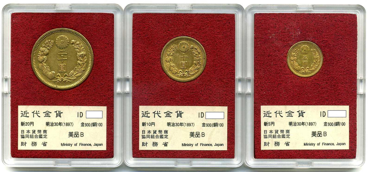 img601_1_1400x.jpg?v=1689651967