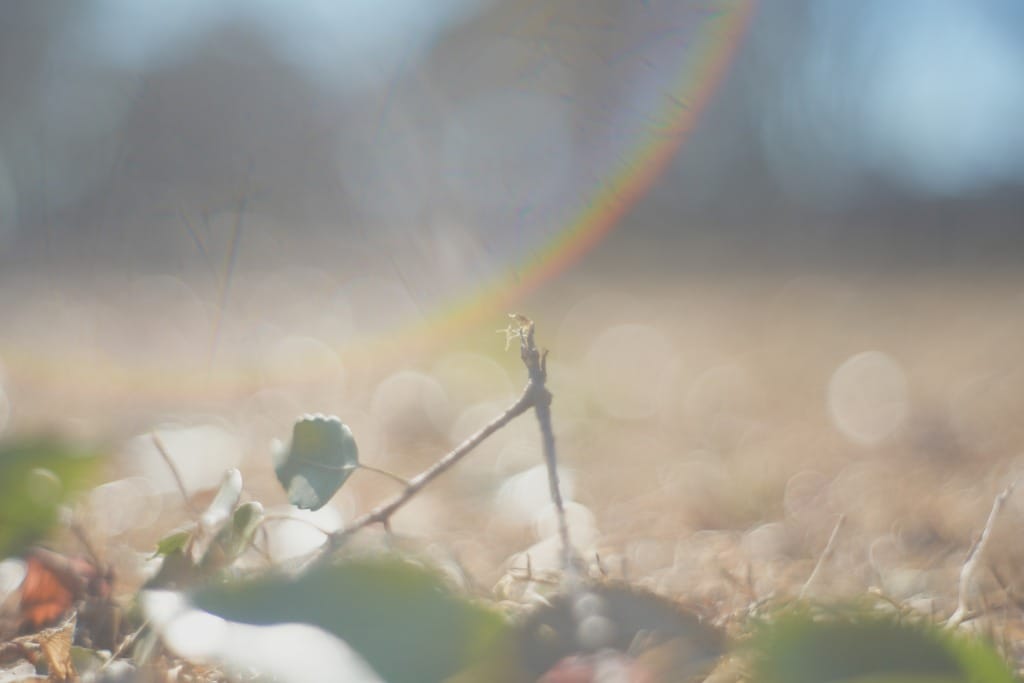 Jupiter-8 50mm f2 L39 Review作例 KMZロシア製おすすめ神オールド