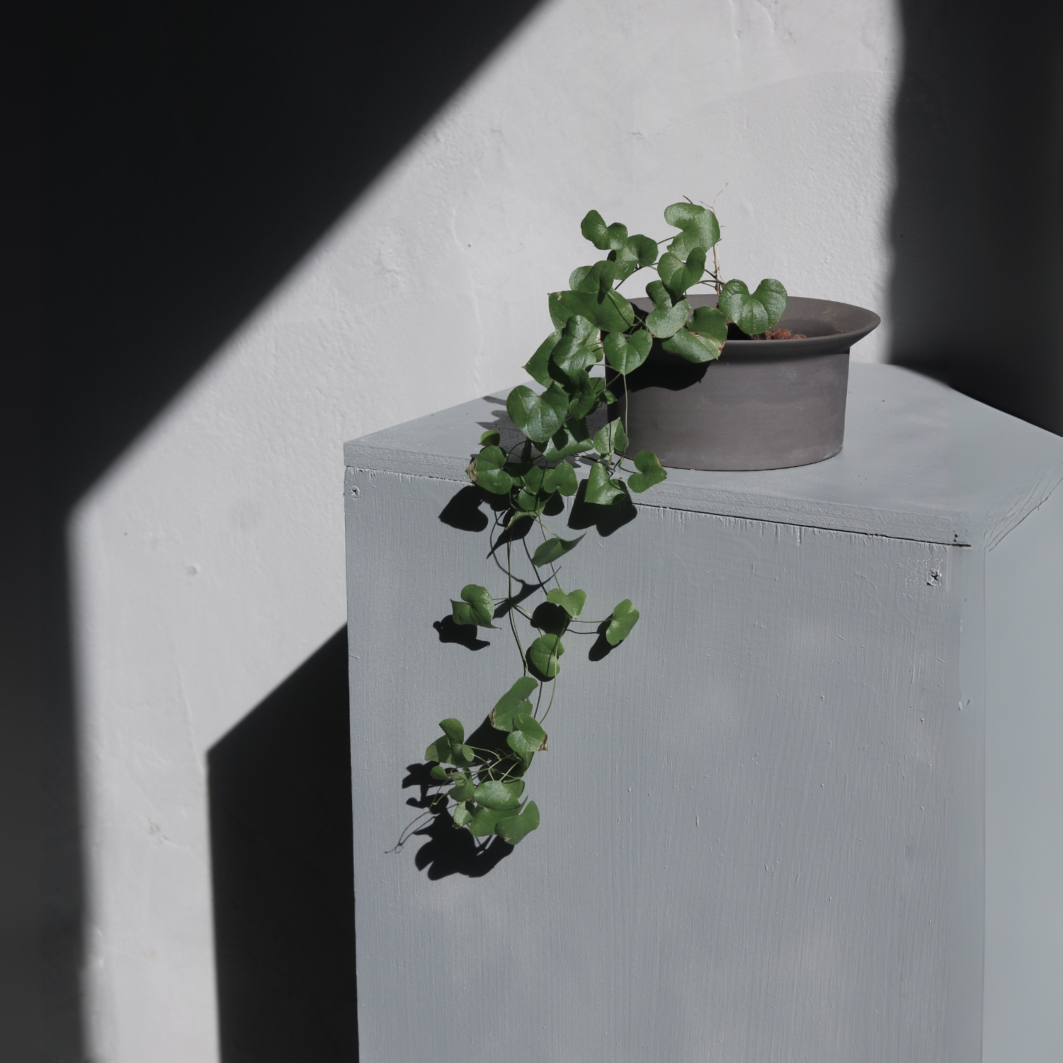 3号｜おしゃれな陶器鉢｜背の低い｜受け皿付｜ハットさん｜北欧｜S