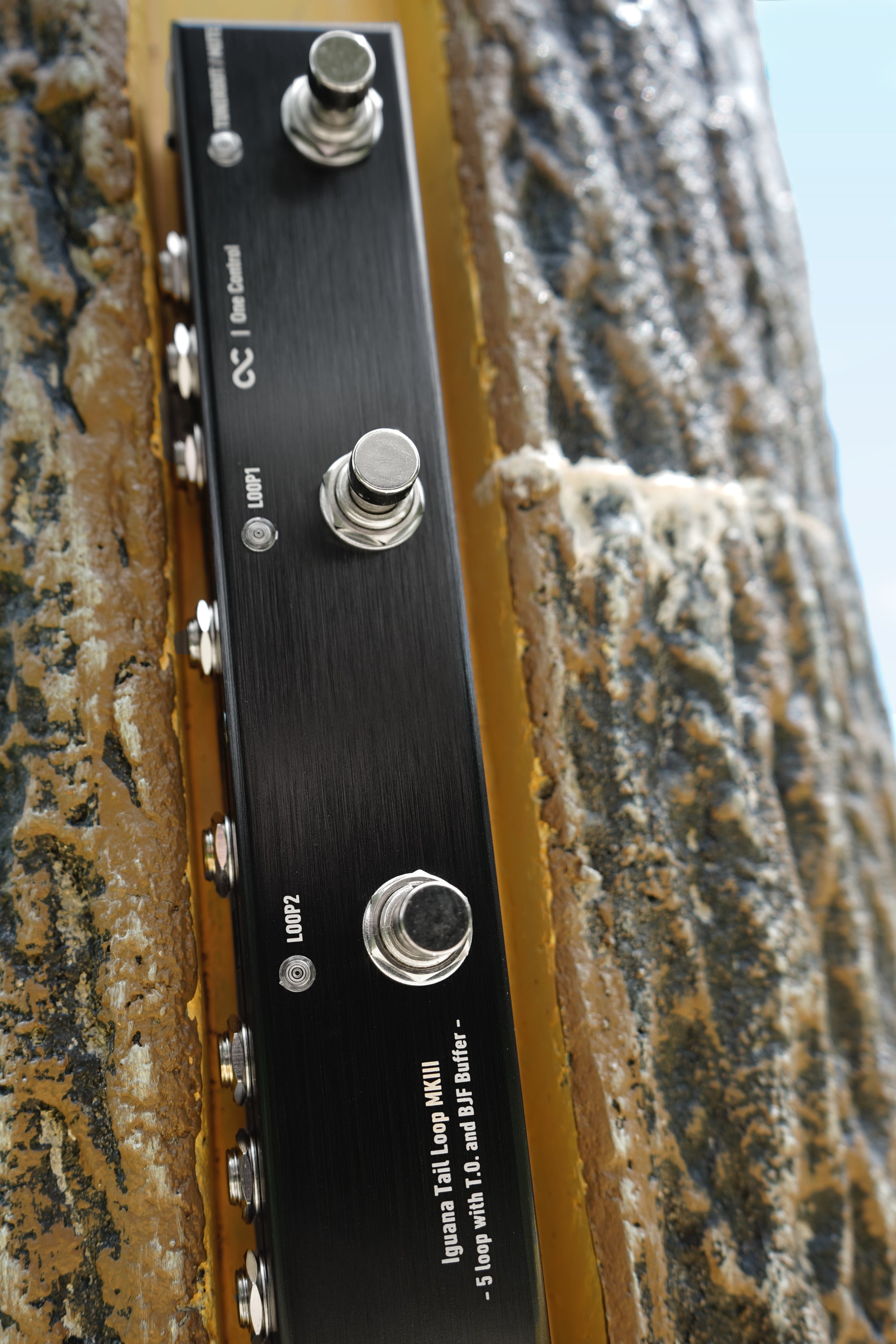 Iguana Tail Loop MKIII - 5 loop with T.O. and BJF Buffer - (OC