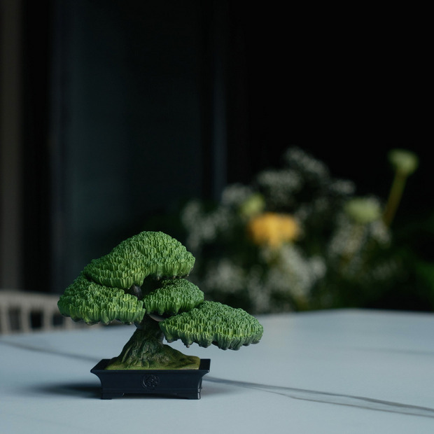 TRADMAN’S BONSAI FIGURE ”五葉松”｜TRADMAN'S