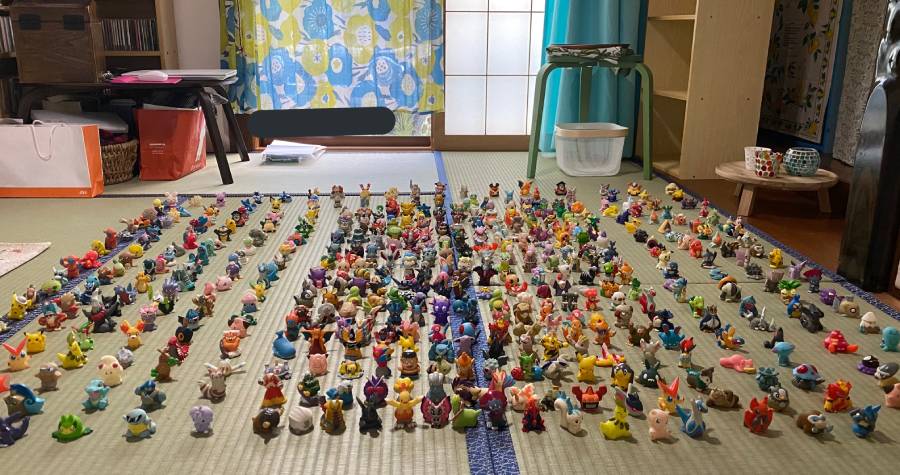 ポケモン指人形約500体！床一面に並べられたコレクションに反響