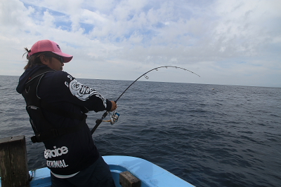 Verger(ヴァージャー）－そのポテンシャルとは。 : DAIKOスタッフの釣