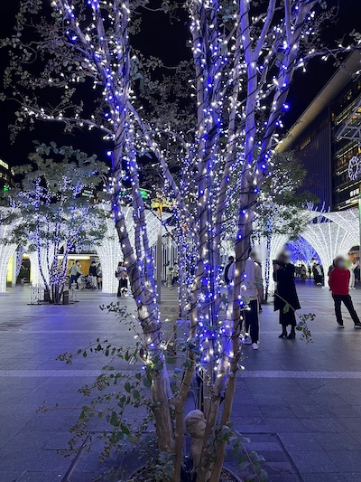 iPhone標準カメラでも大丈夫！スマホで上手にイルミネーションを撮影