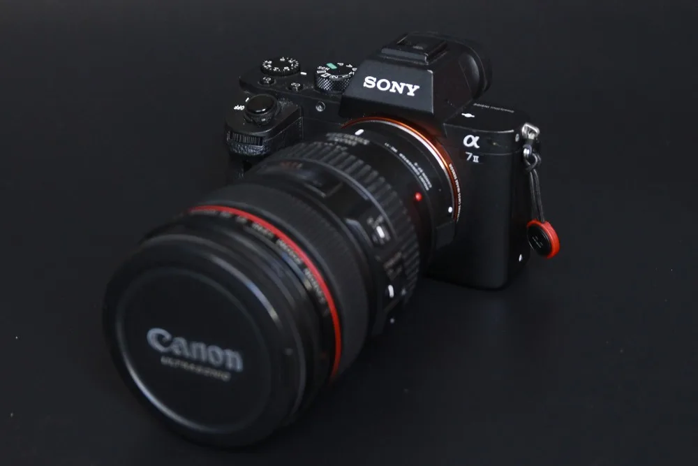 Sony α7Ⅱ にキヤノンのLレンズを付ける神々の遊び！ * prasm（プラズム）