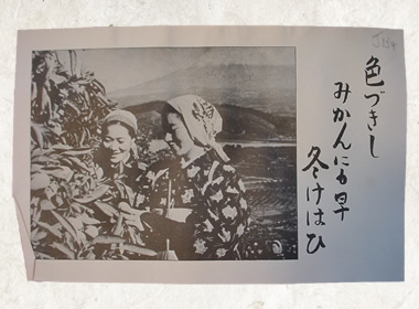 20世紀メディア研究所 戦時宣伝ビラ・データベース