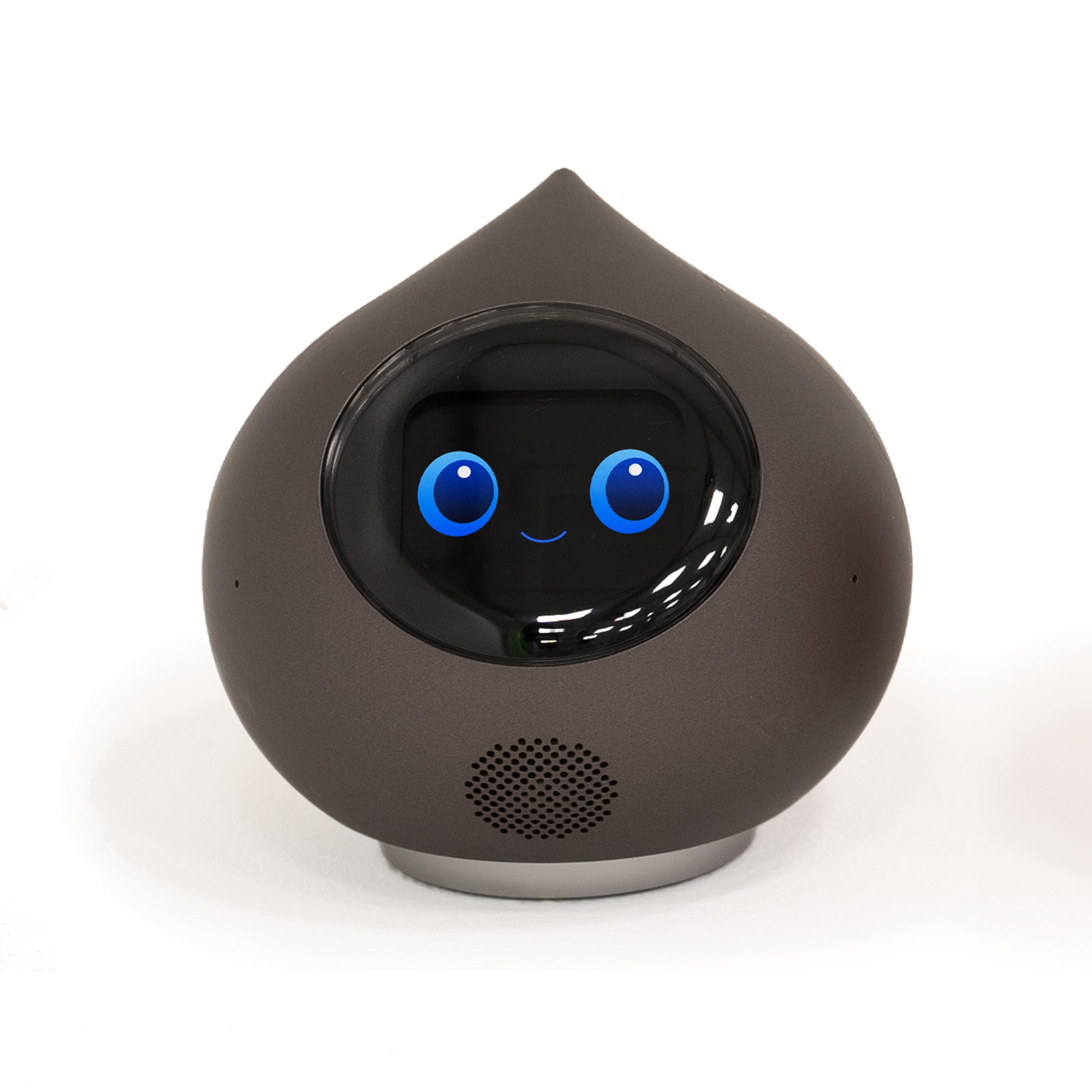 会話AIロボットRomi（Lacatanモデル） – Romiストア