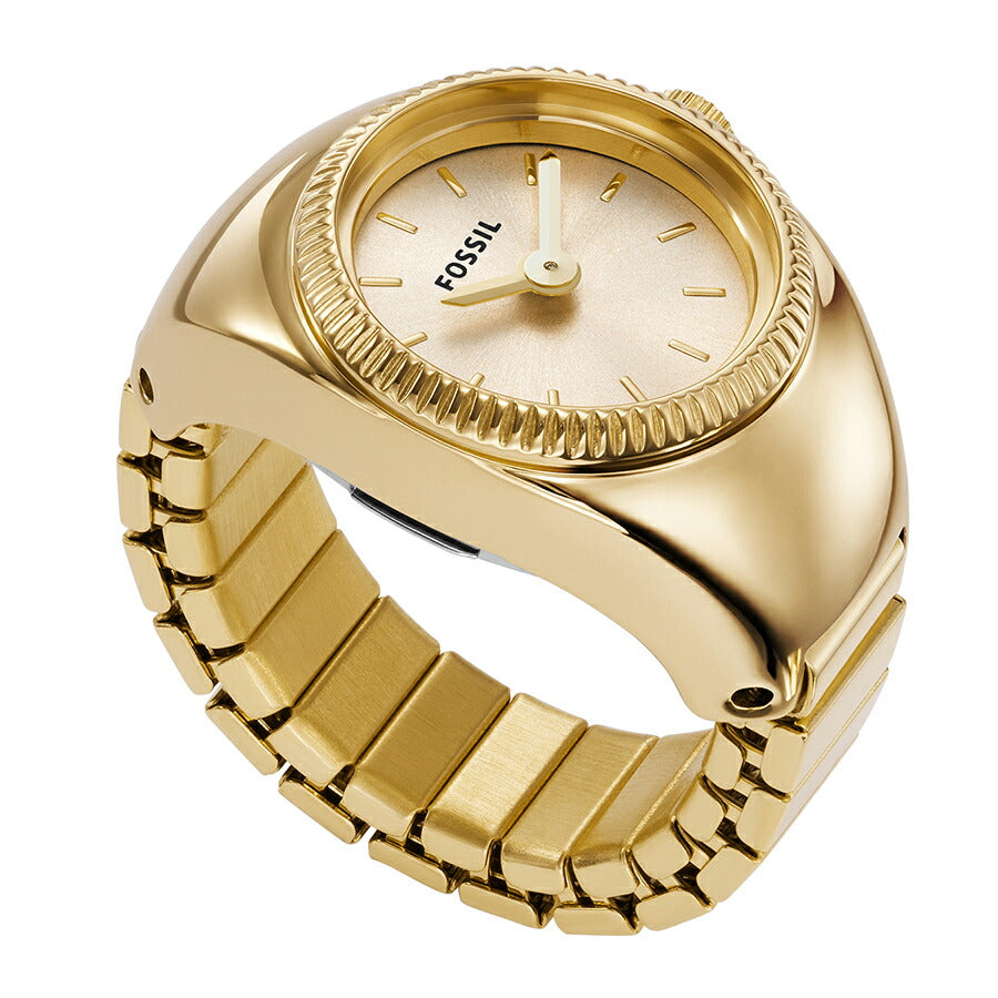 FOSSIL｜フォッシル 腕時計通販 – THE CLOCK HOUSE公式オンラインストア