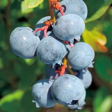 739-NBR166-2130742.jpg?