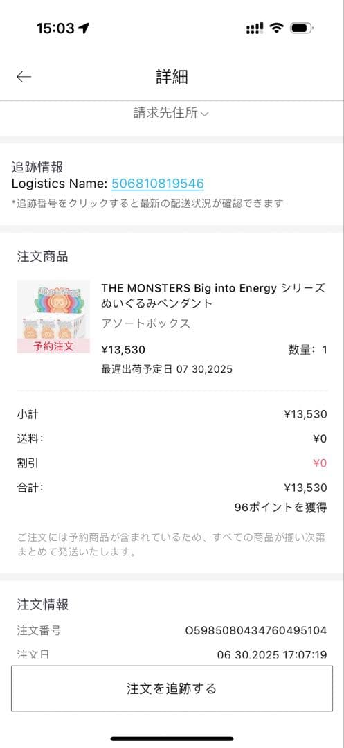 labubu Big into Energy Luck ぬいぐるみ