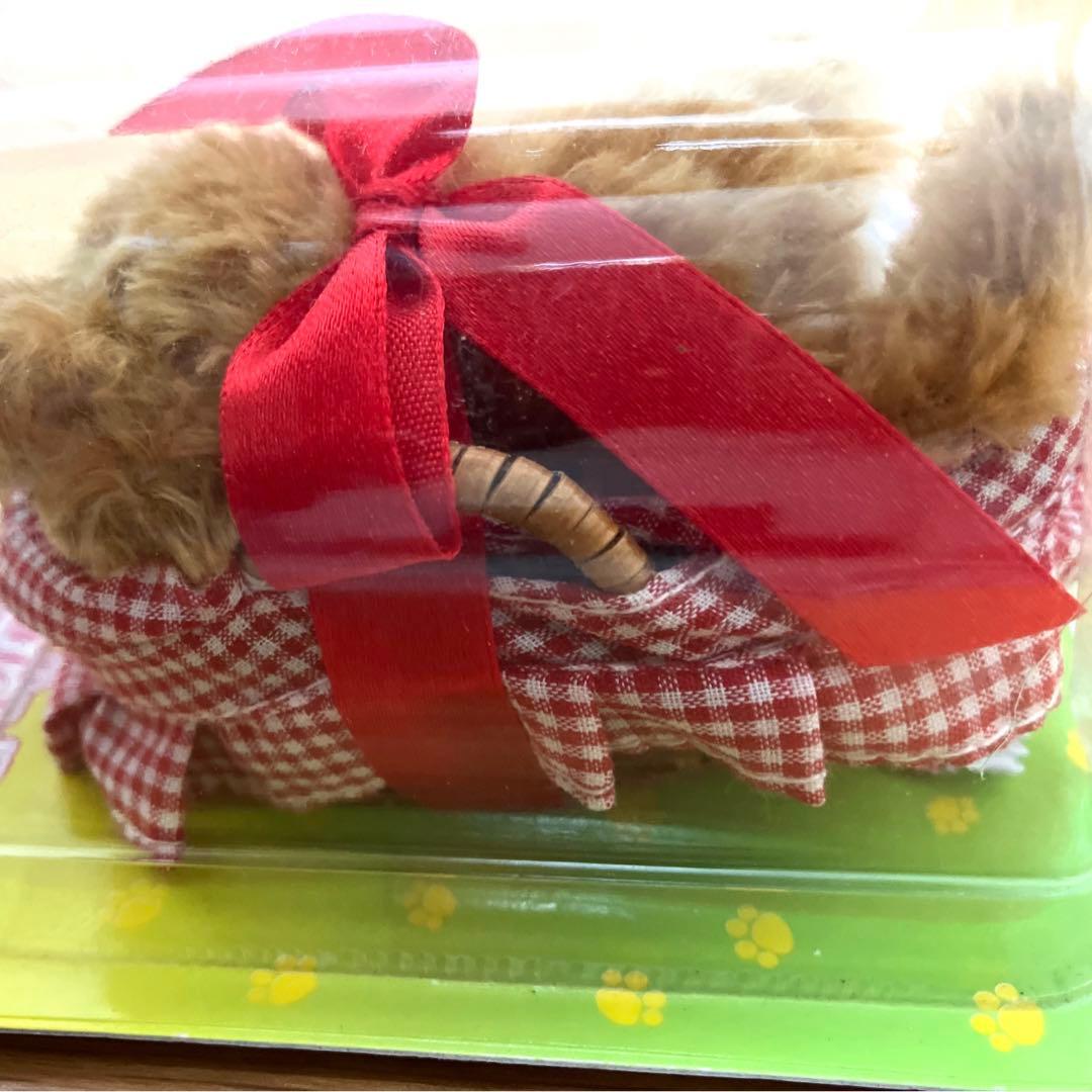 希少品 子猫物語 カバヤ食品 5種コンプ 未開封 - メルカリ