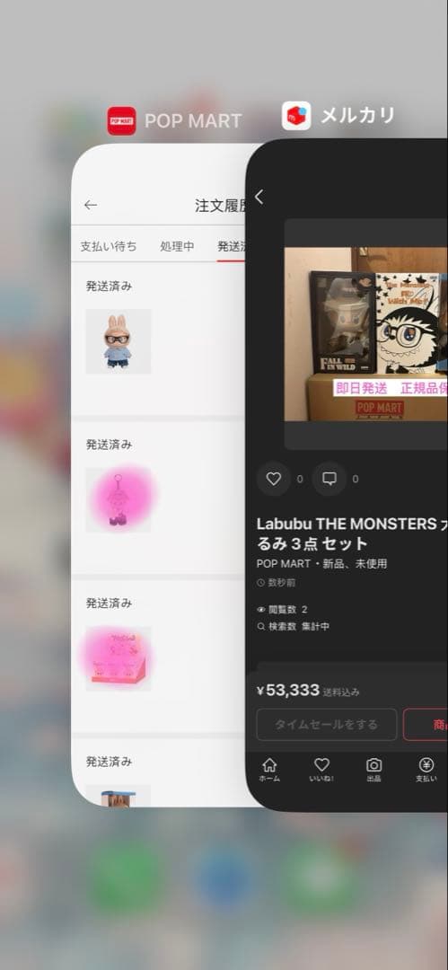正規品 ラブブ THE MONSTERS 大きいぬいぐるみ2点セット