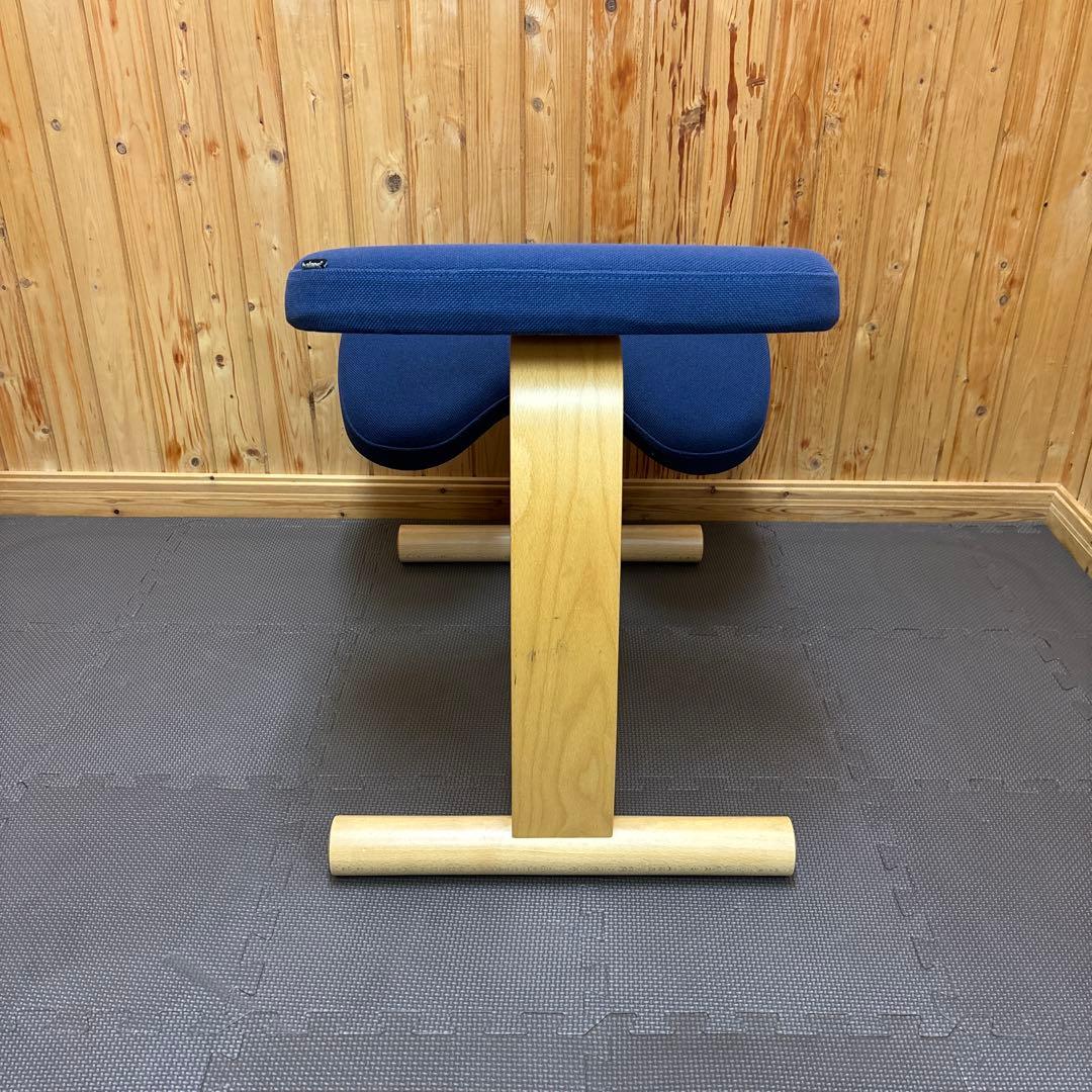 balans Easy バランスイージー サカモトハウス ネイビー