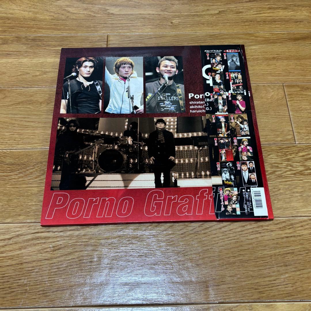 ポルノグラフィティまとめ売り 会報 ライブパンフレットなど
