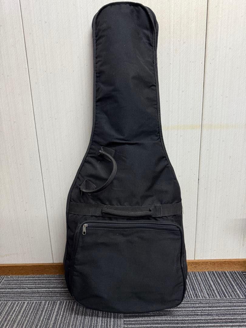 ギター Epiphone Les Paul MODEL STANDARD PRO