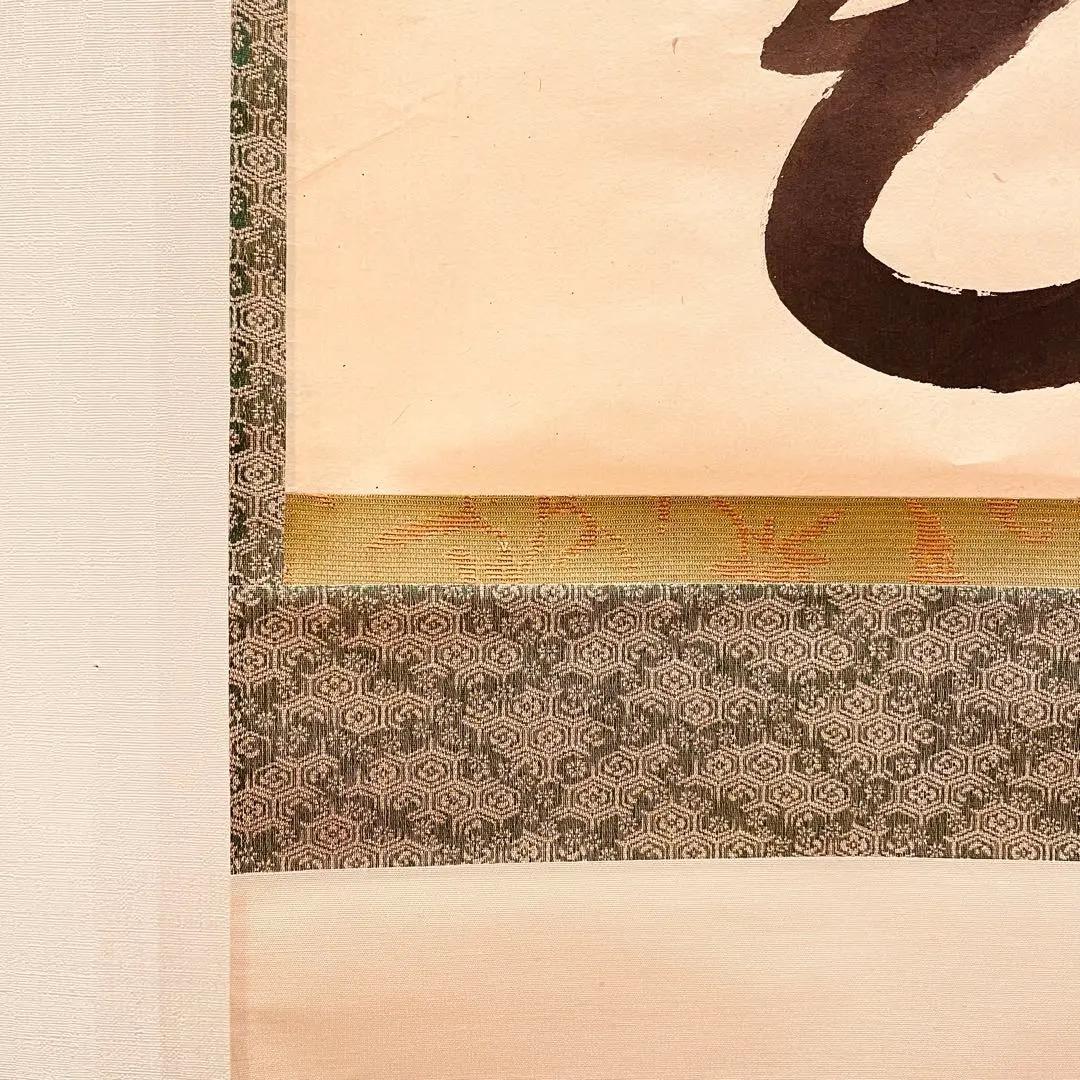 3005 松濤玄機 「青松多寿色」 共箱 肉筆 大徳寺 禅語